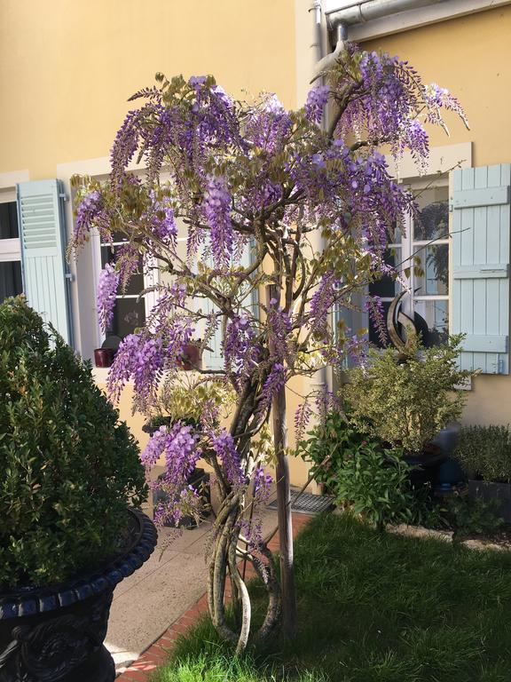 Chambres D'Hote Le Clos De L'Argolay ชาร็อลส์ ภายนอก รูปภาพ
